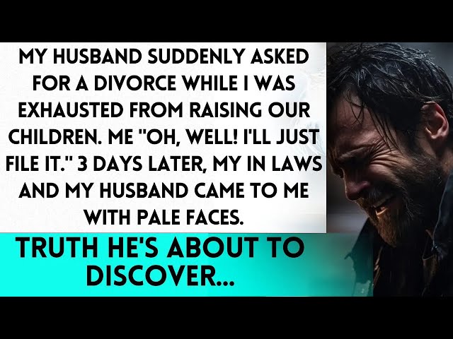 Husband Divorced Me While I Was Tired, but 3 Days Later