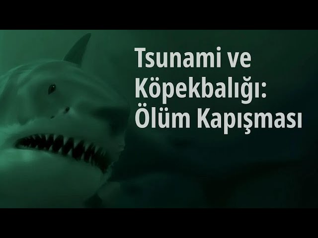 Tsunami ve Köpekbalığı: Ölüm Kapışması