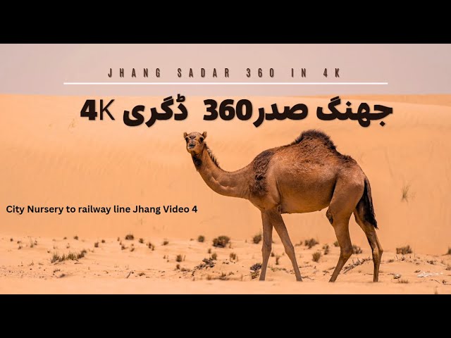 City Nursery to railway line Jhang |360degree 4K|  Jul 2024