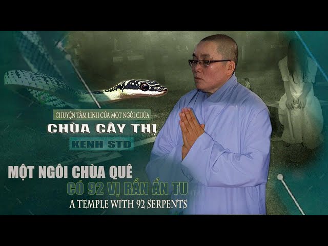 Chuyện Tâm Linh Chùa Cây Thị Nơi 92 Vị Rắn Ẩn Tu