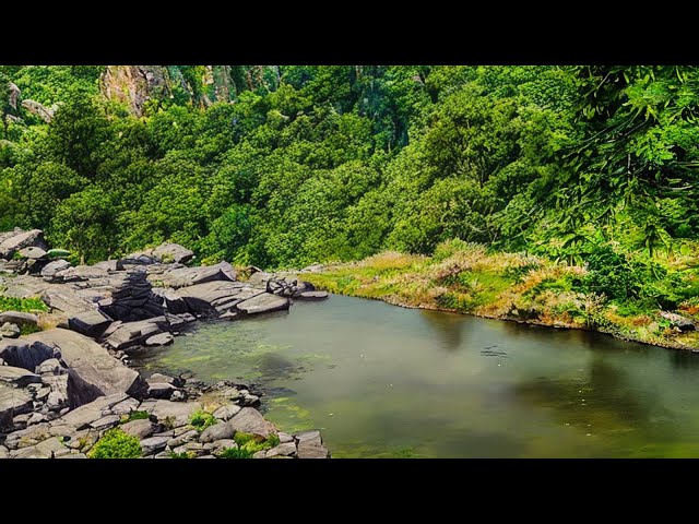 Serene River Waters: Calm Your Mind, Rejuvenate Your Soul - Peaceful River Sounds to Soothe the Soul