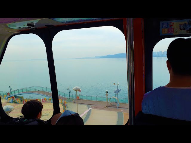 Came to ride the closest sea train to Seoul | korea travel vlog