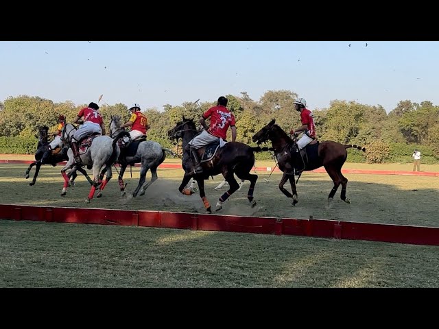 Free Style Polo in Lahore🤗😍