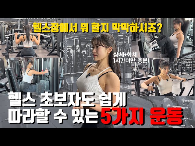 헬스장이 처음이라 막막하신가요? 이 5가지 운동만 하세요