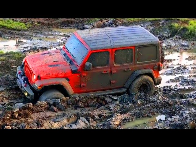 Tank 300 vs Jeep Wrangler Team vs Lan Cruiser Off-road Driving Amazing | Jeep Team