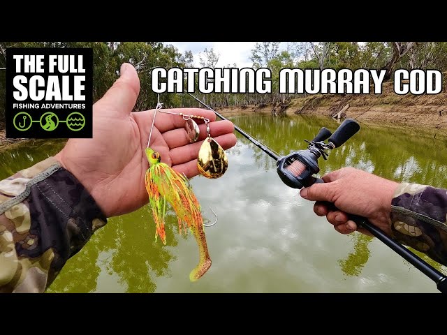 Catching MURRAY COD | The Full Scale