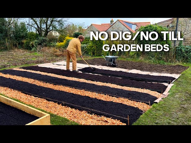 No-dig / No-till vegetable garden beds | From start to planting 🌱