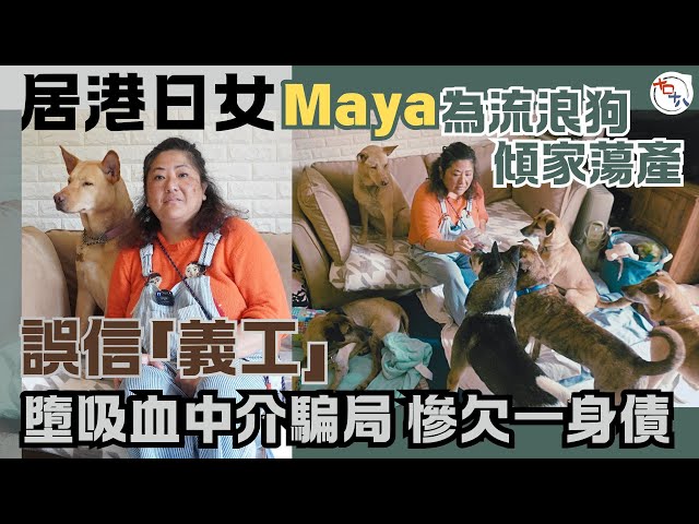 在港日女🇯🇵Maya為幫流浪狗傾家蕩產丨誤信「義工」墮吸血中介騙局 慘欠一身債丨十口十八