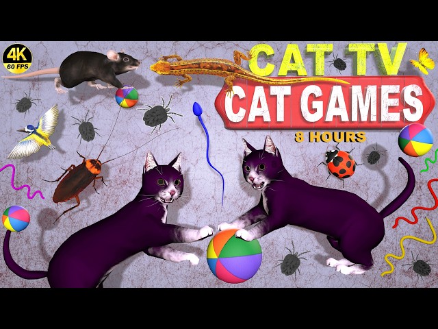 CAT GAMES COMPILATION | ULTIMATE VIDEOS COLLECTION FOR CATS | TV FOR FELINE FRIENDS 😺 4K 8-HOURS