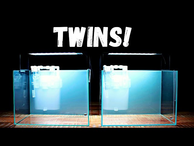 I'm Starting a New Series! The TWIN SCAPE Project Episode #1