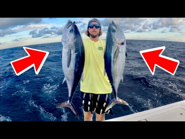 Catching GIANT BlackFin Tuna up to 36lbs! (PB)