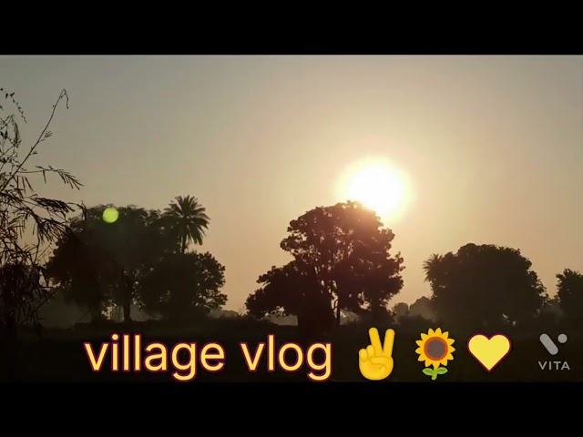 village vlog short video 🌻🤟