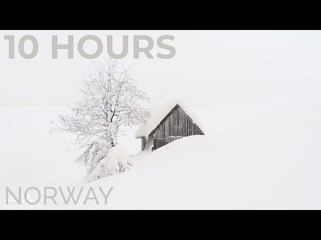 Snow Falling & Winter Wind Sounds for Deep Sleep - Relaxing Ambience, White Noise by Scenic Sound