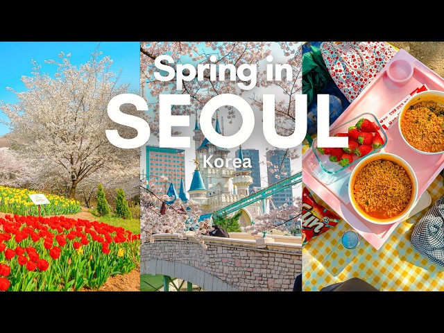 10 Best Cherry Blossom Spots in Seoul 🌸 | Aesthetic cafes, Hangang picnic | Spring in Seoul VLOG