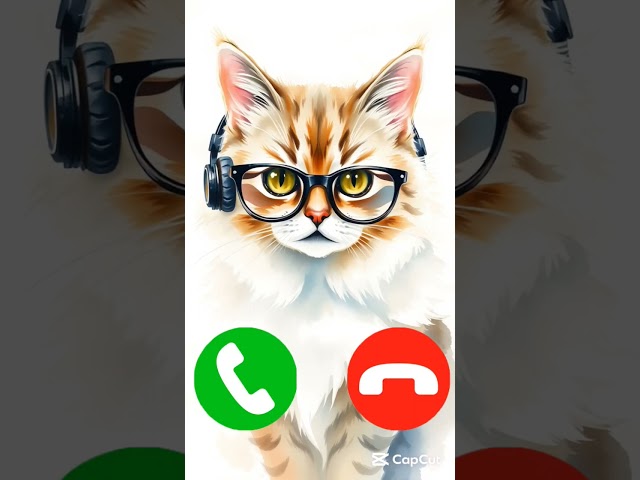 Purrfectly Cute Cat Calling You! 😻🐾