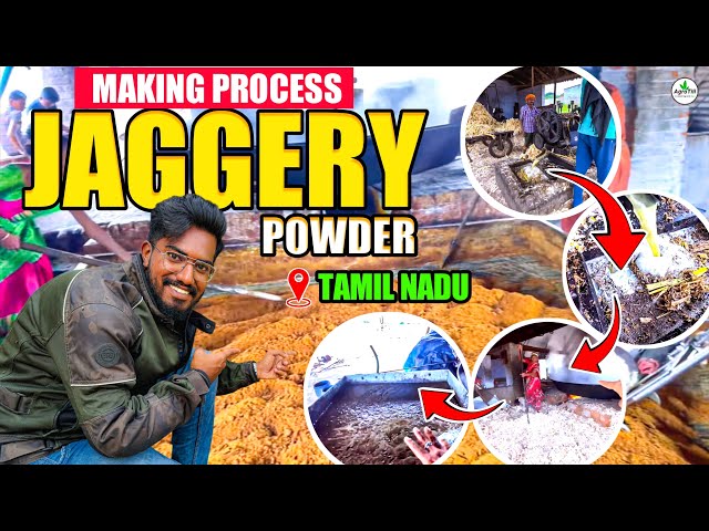 Famous Powder Jaggery 😋🍩 Making Process In Tamil Nadu🎋👨‍🌾 | AgroTill | #farming #agribuisness