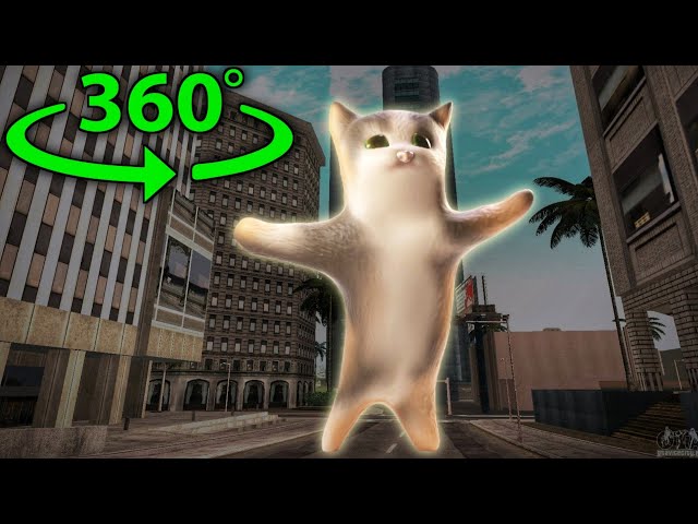 Happy Cat Finding Challenge But It's 360 Degree Video