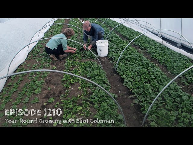 Growing a Greener World Episode 1210 - Year-Round Growing with Eliot Coleman