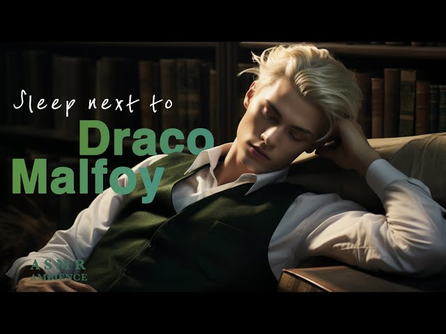 Harry Potter ambience | Sleep next to Draco Malfoy in the Hogwarts Library | You study for the O.W.L