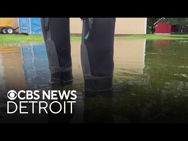 Remnants of Beryl hits Southeast Michigan counties