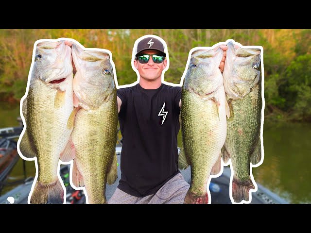 RECORD DAY OF BASS FISHING (UNBELIEVABLE)