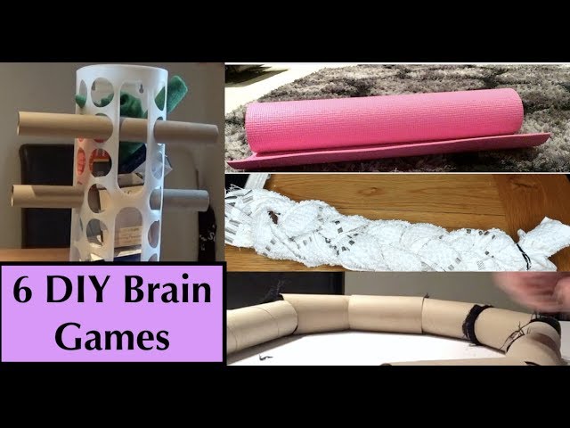 DIY Brain Games for Dogs! Homemade food puzzle toys