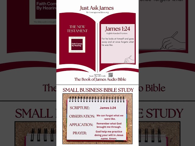 Business Bible Study on The Book of James 1:24 #audiobible