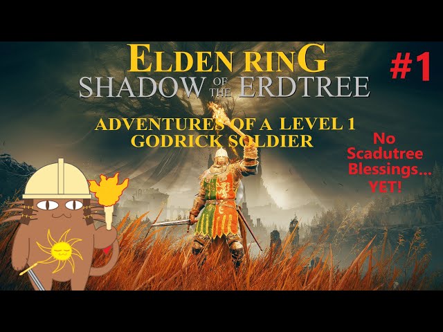 Rune Level 1 No Scadutree Blessing Godrick Soldier Cosplay! (PC)Elden Ring: Shadow of the Erdtree!