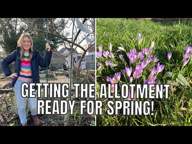 GETTING THE ALLOTMENT READY FOR SPRING / ALLOTMENT GARDENING UK