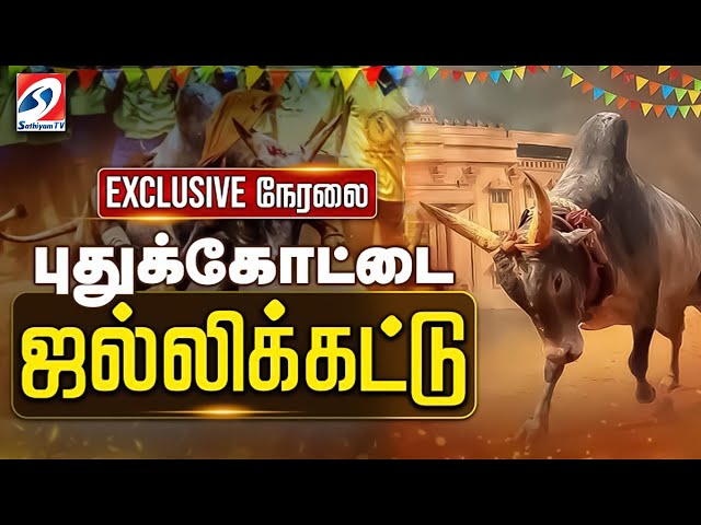 🔴LIVE: Pudukkottai Jallikattu | புதுக்கோட்டை ஜல்லிக்கட்டு Live | Jallikattu 2025 | VaadiVaasal