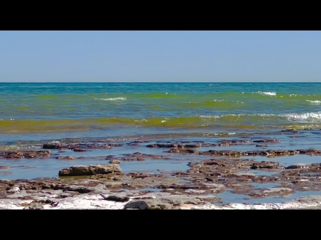 Tibetan Singing Bowl Sounds with Lapping Waves - Find a Sense of Calm