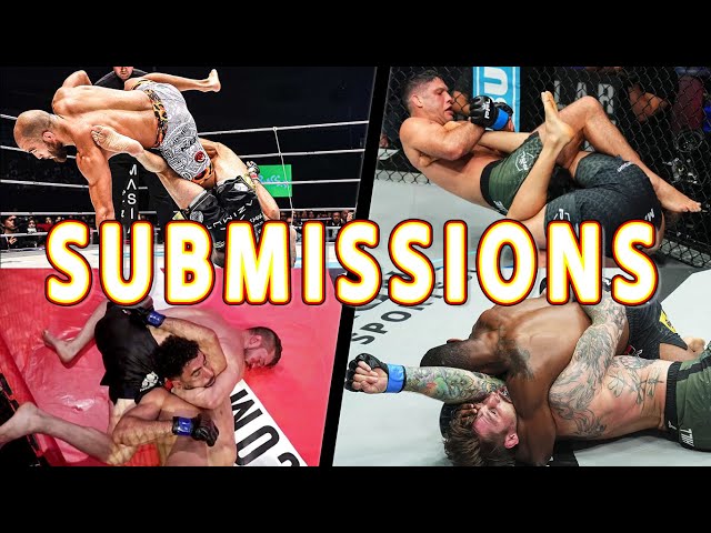 Top MMA Submissions 2024