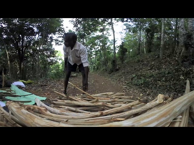 Immersion 360° PROPARCO: MA's Food, sustainable agriculture in Sri Lanka