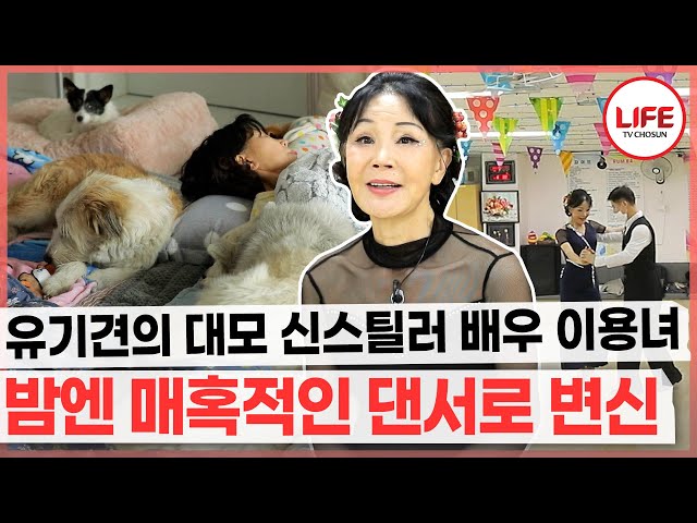 [#기적의습관] 유기견뿐만 아니라 유기묘도 키우는 배우 이용녀, 아침부터 저녁까지 바쁘다 바빠 쉴 틈이 없어! (TV CHOSUN 220104 방송)