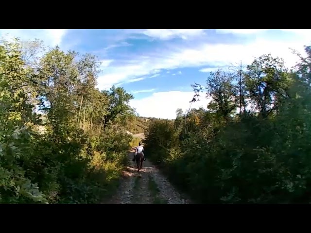 Horse Touring -Turismo equestre- Azienda Agricola il Colle del Falco