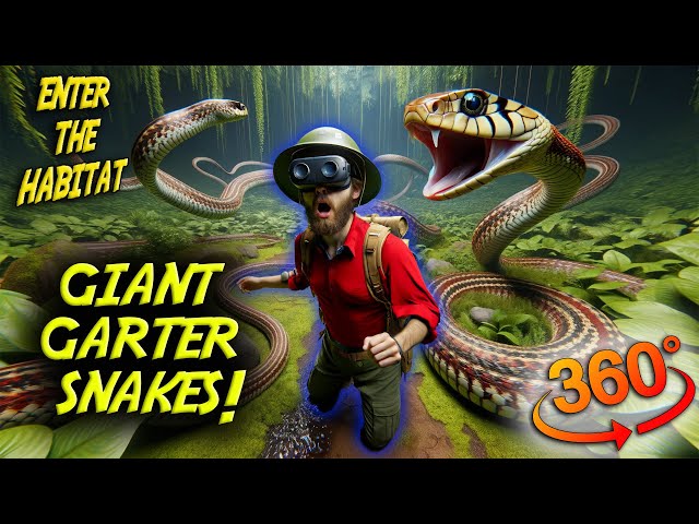 Macro VR 360 - 🐍 Explore 50-FOOT LONG Garter Snakes in Stunning 360° VR!