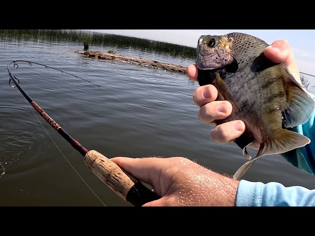 Fishing SLAB BLUEGILL on Lake Okeechobee