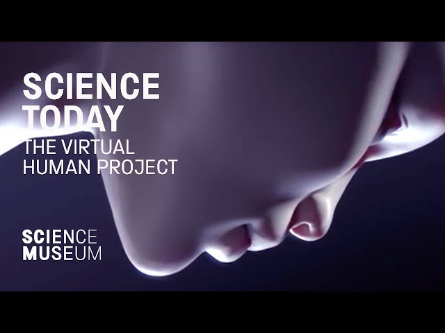 The virtual human project