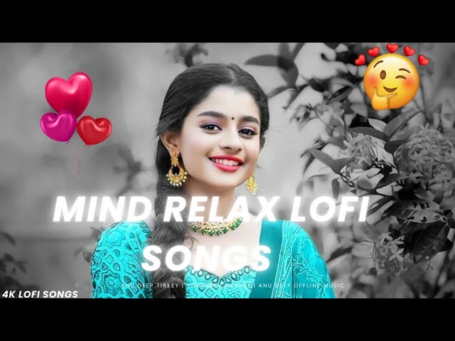 💞Mind Relaxing Songs 2024 | Mind Relax Lofi Mashup 2024 | Mind Relaxing Music | Anu Deep Tirkey