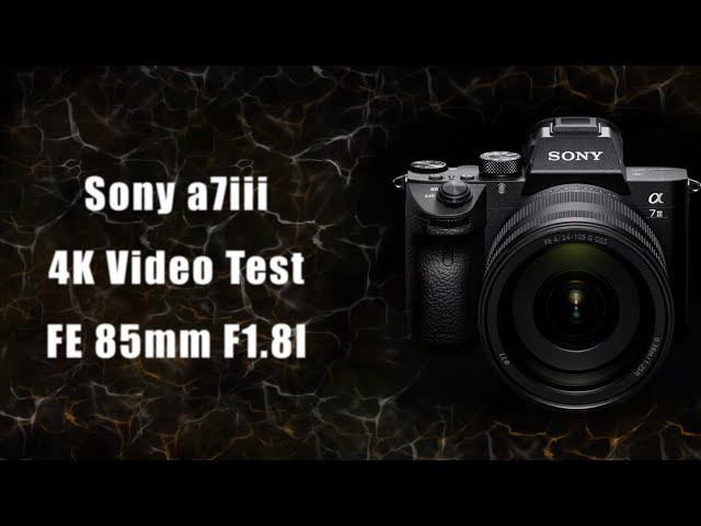 Sony a7iii , Sony 85mm. 2022 4K Video Test ,,The Forest,,