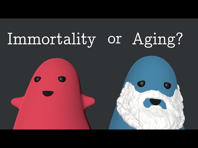 Simulating the Evolution of Aging