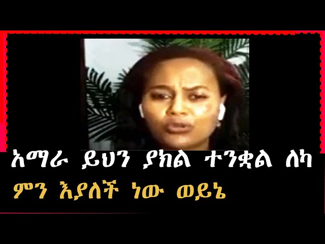 🎯የማሕይምነት ጥግ / አማራ ይህን ያክል ተንቋል ለካ