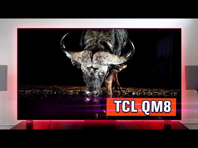 TCL 75" QM8 2024: The Best BIG Mini-LED TV???