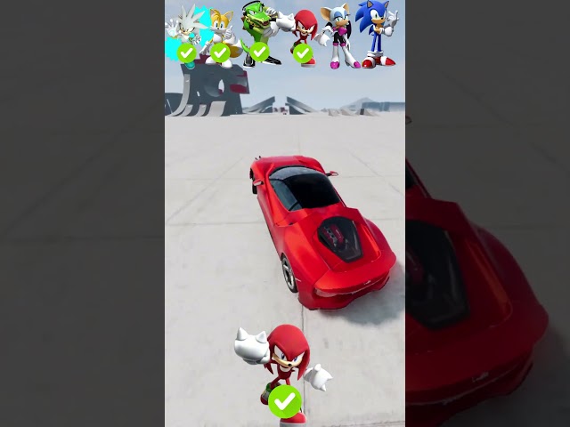 Sonic Car Jump Challenge For Sonic , Tails , Rouge , Knuckles and Shadow #shorts #sonic #beamngdrive