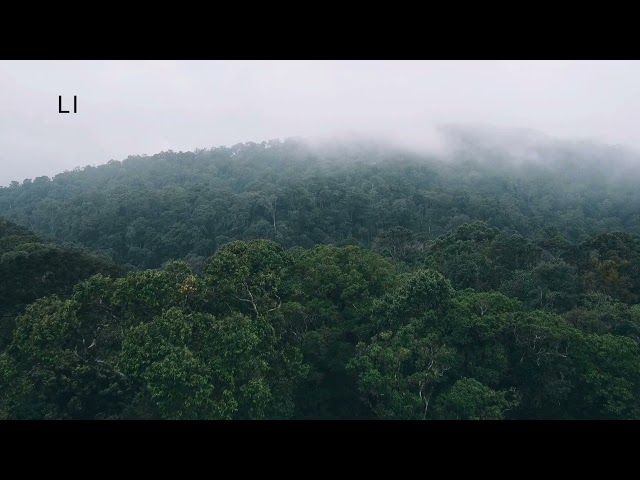 Munnar #keralatourism #travel #nature #munnar