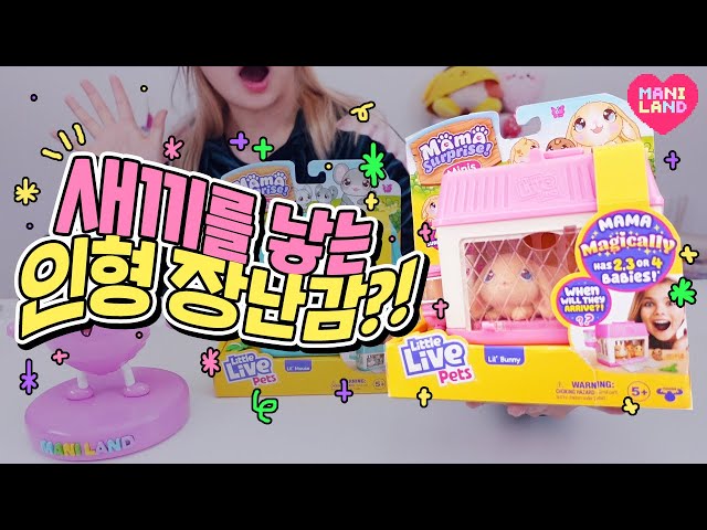 [SUB] baby rabbits are born?!! Toy Unboxing🐰✨