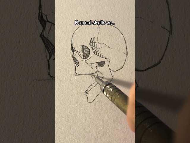 Normal skull vs Anime skull || Jmarron