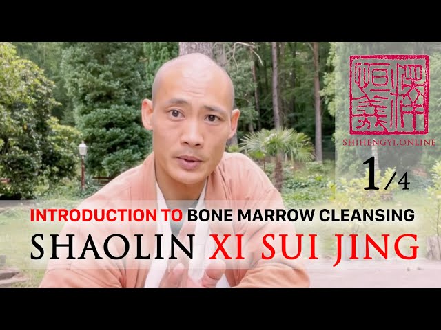 Introduction to Xi Sui Jing (1/4) 💮 WeekEnd 1. Practice Session 💮