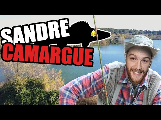 LE SANDRE CAMARGUAIS ! - || Compilation 2016 Ft. PLPM