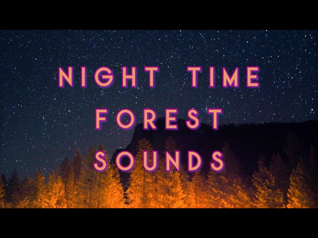 Night Time Forest Sounds ASMR | chirping crickets, owls [8 HOURS]